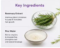 Bare Anatomy Rosemary & Rice Water Hair Growth Spray | Strengthens Roots & Promotes Thicker Hair | 100ml